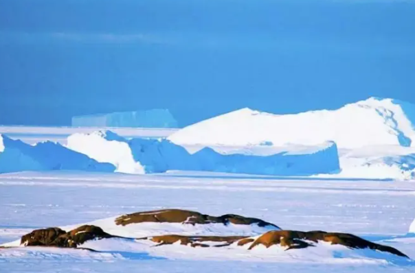 极寒环境.png 极寒环境.png