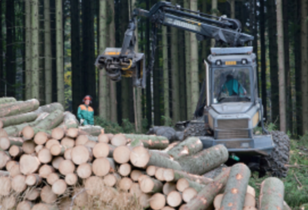 木材运输.png 木材运输.png