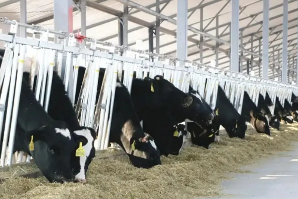 智慧养殖.png 智慧养殖.png